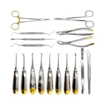 Veterinary Dental Surgery Kit – Stainless Steel Oral Surgical Instruments with Needle Holder