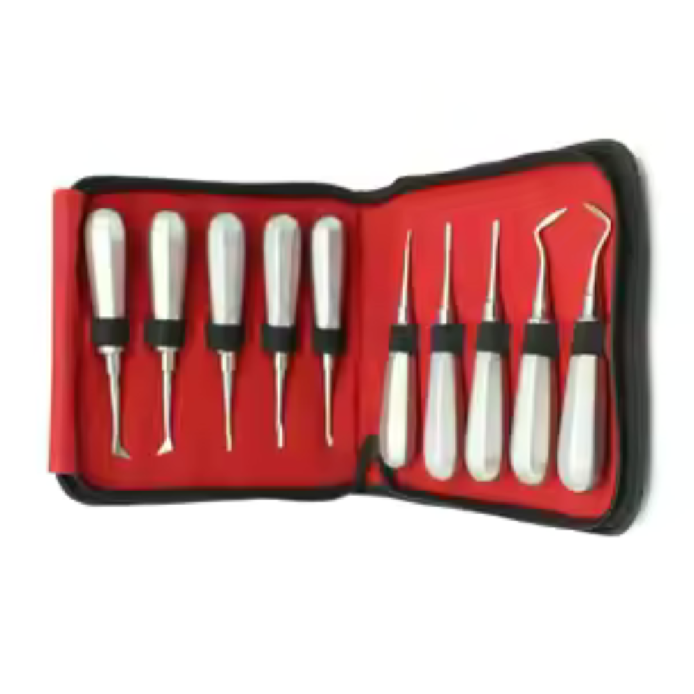 Precision Engineering for Reliable Dental Extraction Elevator Instrument Solutions