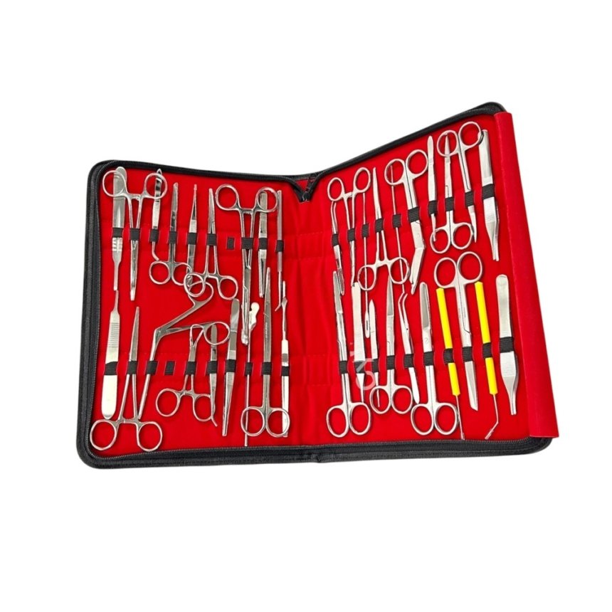 Premium Veterinary Dissection Kit – 170-Piece Complete Anatomy ...