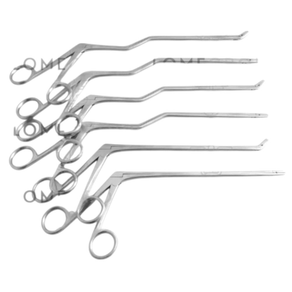 transparent-Photoroom - 2025-09-29T165945.444