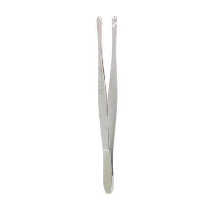 Neurosurgery Surgical Russian Tissue Forceps, 6″