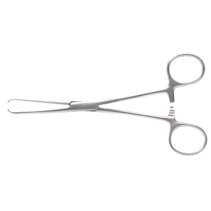 Allis Tissue Forceps 7mm Finger Ring Ratcheted Forceps