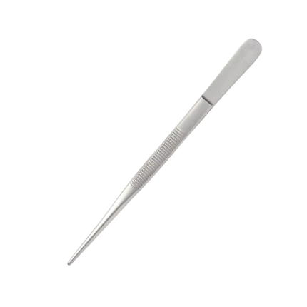 Canadian Pattern Dissecting Forceps Serrated – General Surgery Dissecting Forceps