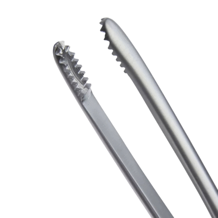 Mayo Russian Dissecting Forceps Round Toothed End Flat Thumb Handle General Surgery