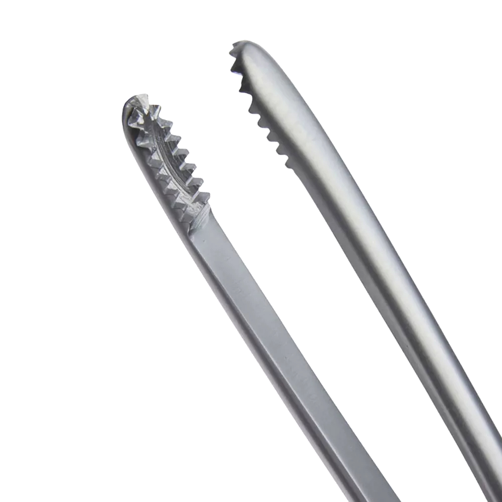 processed_resized_Mayo Russian Dissecting Forceps Round Toothed End Flat Thumb Handle General Surgery