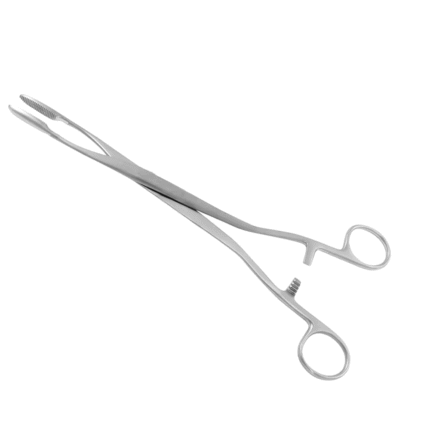Sims Maier Polyps Sponge Forceps Straight 34.9cm – General Surgery Instruments