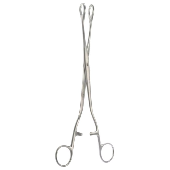 10 3/4″ Noto Ovary & Polypus Forceps 17mm Jaws - Surgical Mark