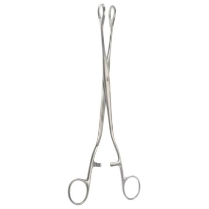 Neurosurgery Surgical Noto Ovary & Polypus Forceps – 10¾”, 17 mm Jaws