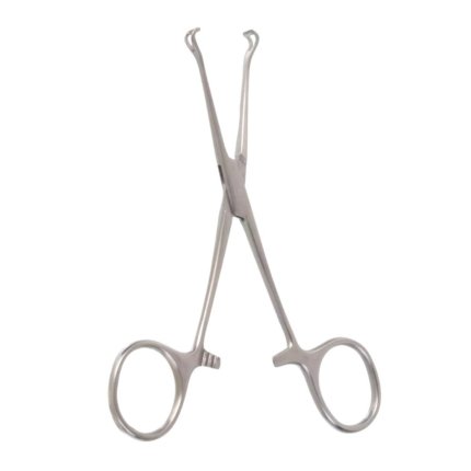 Neurosurgery Surgical 5¼" Petite Point Babcock Forceps, 6mm Jaw