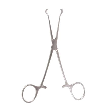 Neurosurgery Surgical 6¼" Babcock Tissue Forceps, 8mm Wide