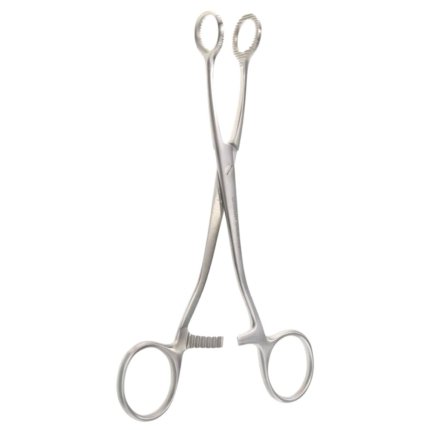 Neurosurgery Surgical 6¾" Collin Tongue Seizing Forceps