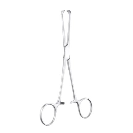 Neurosurgery Surgical 6" Allis-Adair Tissue Forceps, 9×10 Teeth