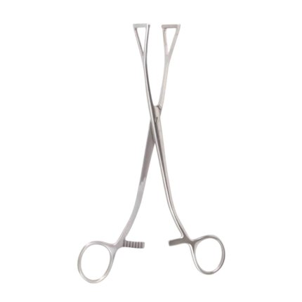 Neurosurgery Surgical Collin Duval Lung Forceps – Jaws 30 mm Wide