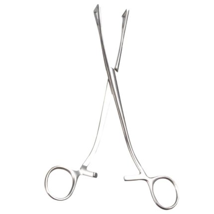 Neurosurgery Surgical Duvall Lung Forceps – Jaws 15 mm Wide