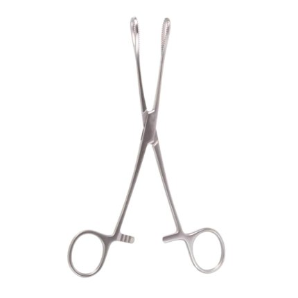 Neurosurgery Surgical 7" Foerster Sponge Forceps, Straight, Serrated Jaws