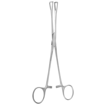 Neurosurgery Surgical Duval Colling Lung Forceps – Jaws 15 mm Wide