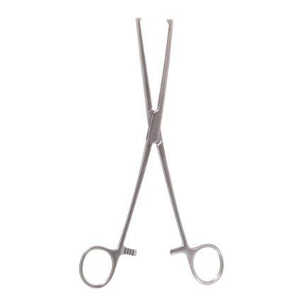 Neurosurgery Surgical 8¾” Curtis Tissue Forceps (Serrated, 1×2 Teeth)