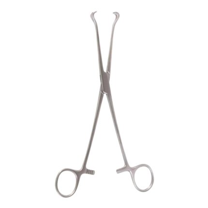 Neurosurgery Surgical 8" Babcock Tissue Forceps, ½" Wide Jaw