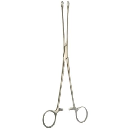 Neurosurgery Surgical 9½" Bergman Foerster Sponge Forceps, Straight