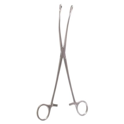 Neurosurgery Surgical 9½" Bergman Foerster Sponge Forceps, Curved