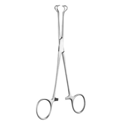 Neurosurgery Surgical 9" Babcock Tissue Forceps