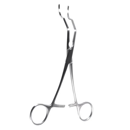 6 1/4″ Gregory Profunda Clamp – Medium