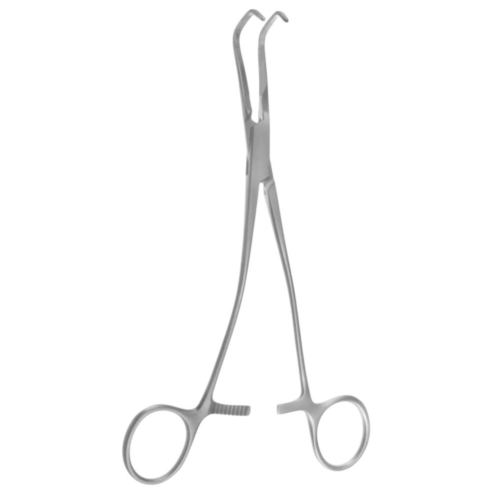 transparent-Photoroom - 2025-10-03T161849.291