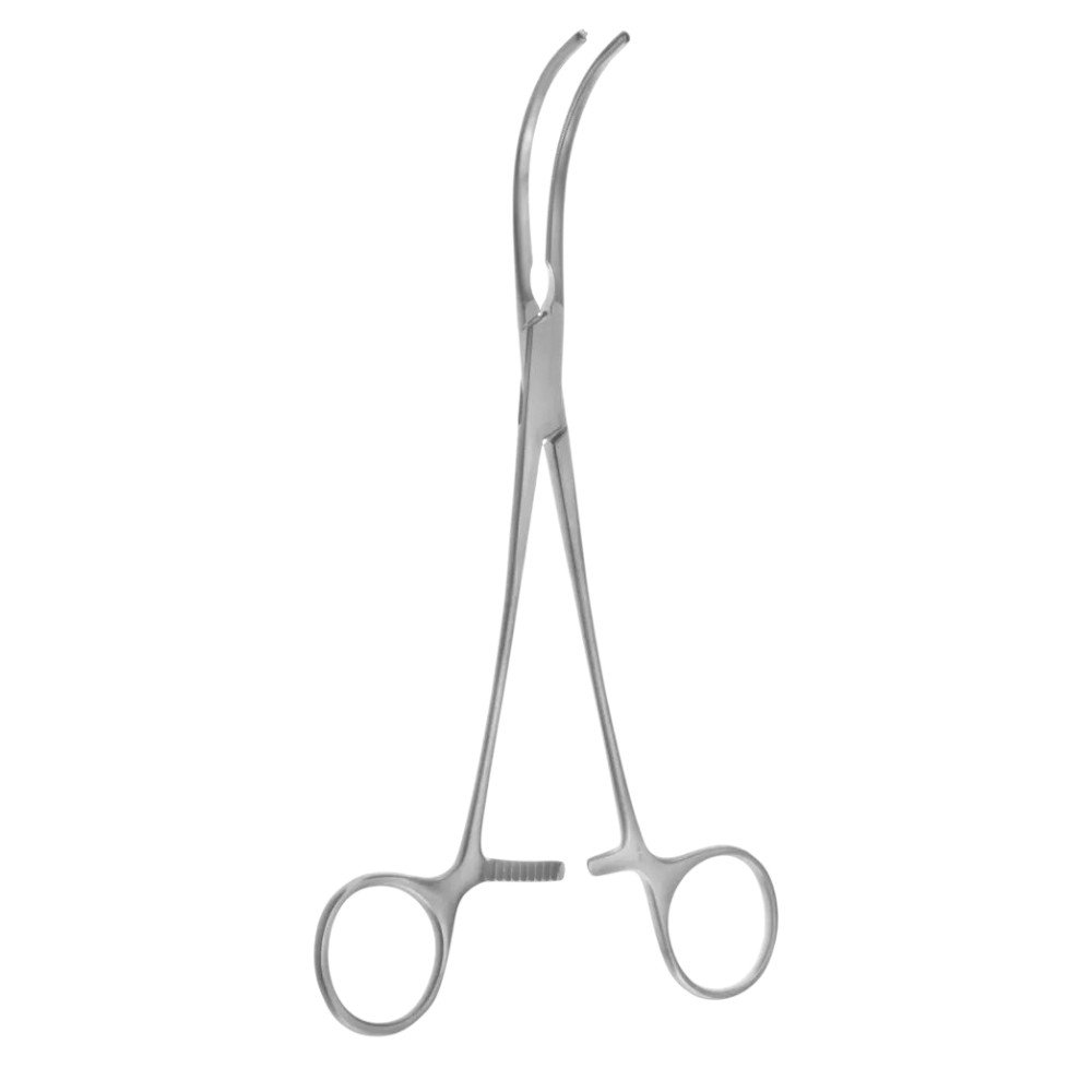 transparent-Photoroom - 2025-10-04T120939.551