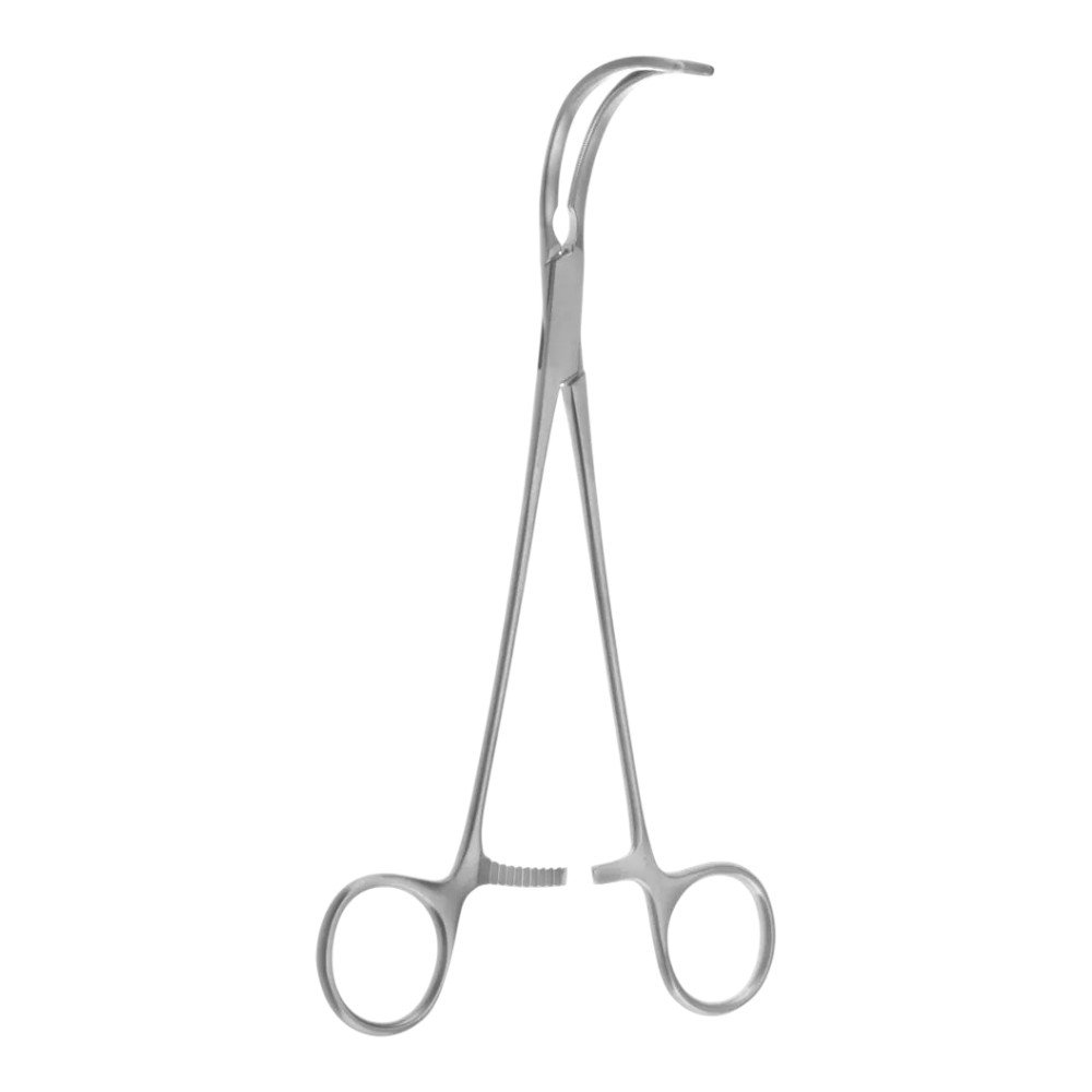 transparent-Photoroom - 2025-10-04T121223.673