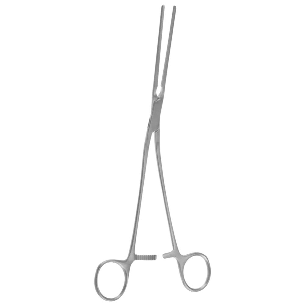 transparent-Photoroom - 2025-10-06T115418.004