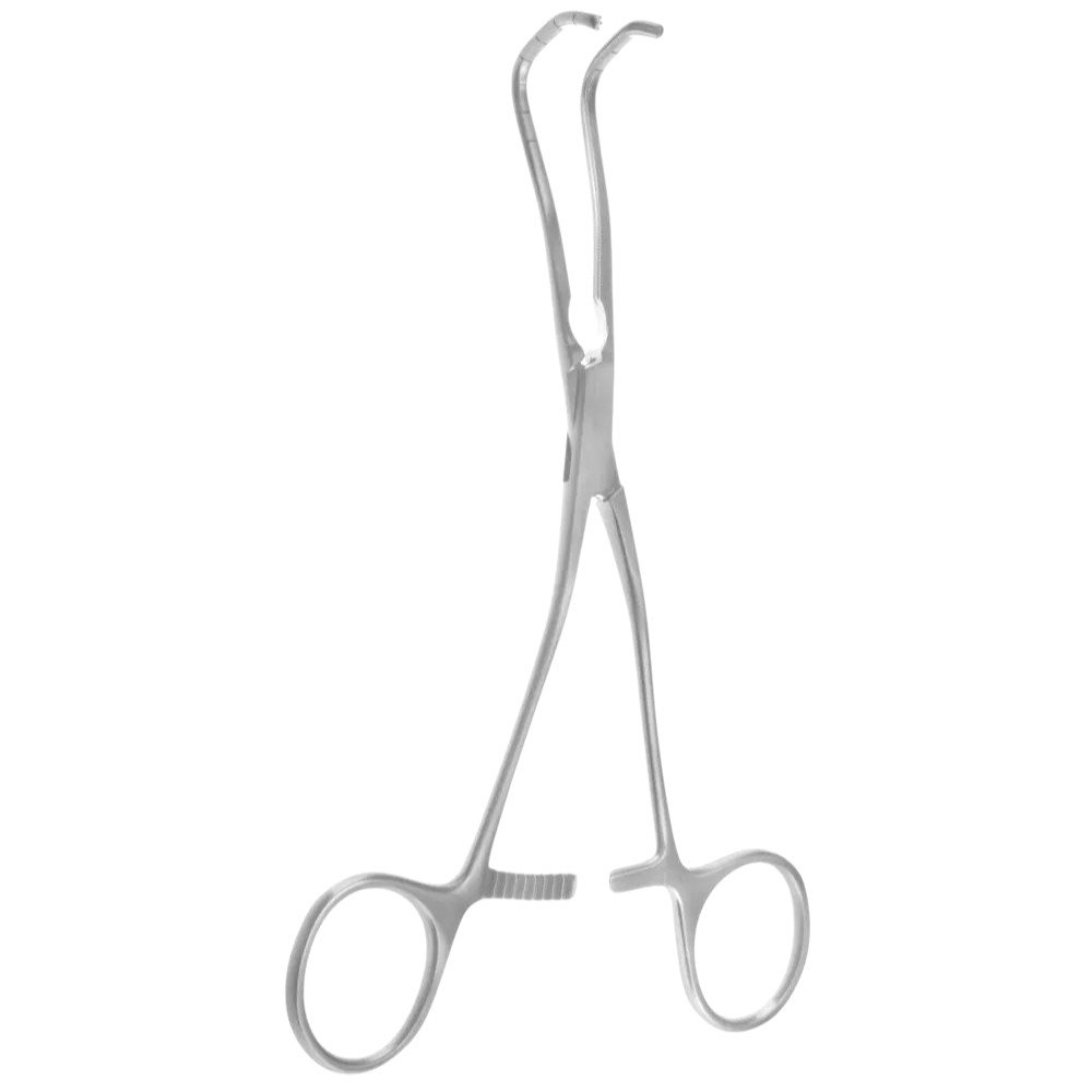 transparent-Photoroom - 2025-10-06T123241.856