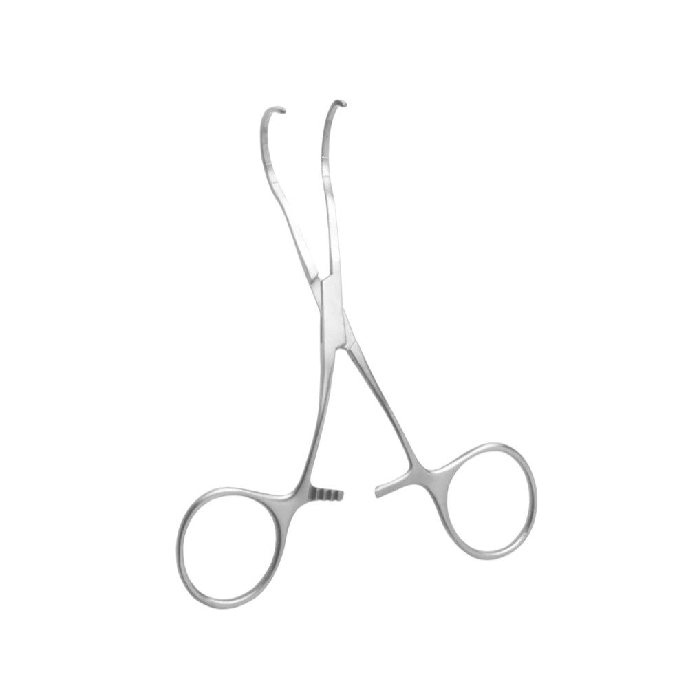 transparent-Photoroom - 2025-10-06T125134.486