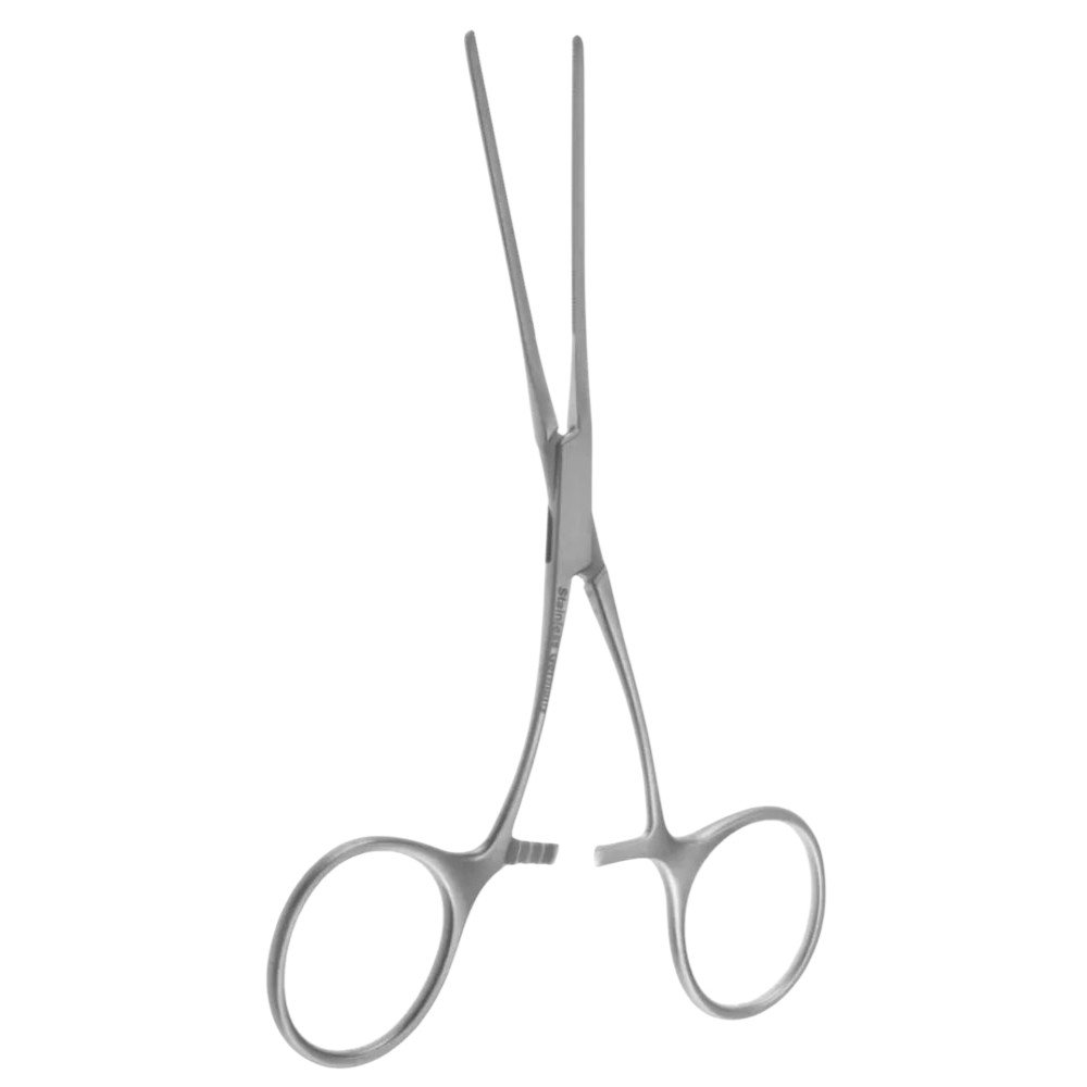 transparent-Photoroom - 2025-10-06T133218.075