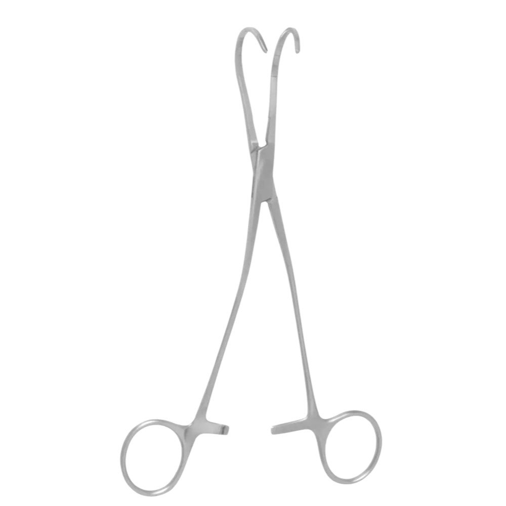 transparent-Photoroom - 2025-10-06T151011.615