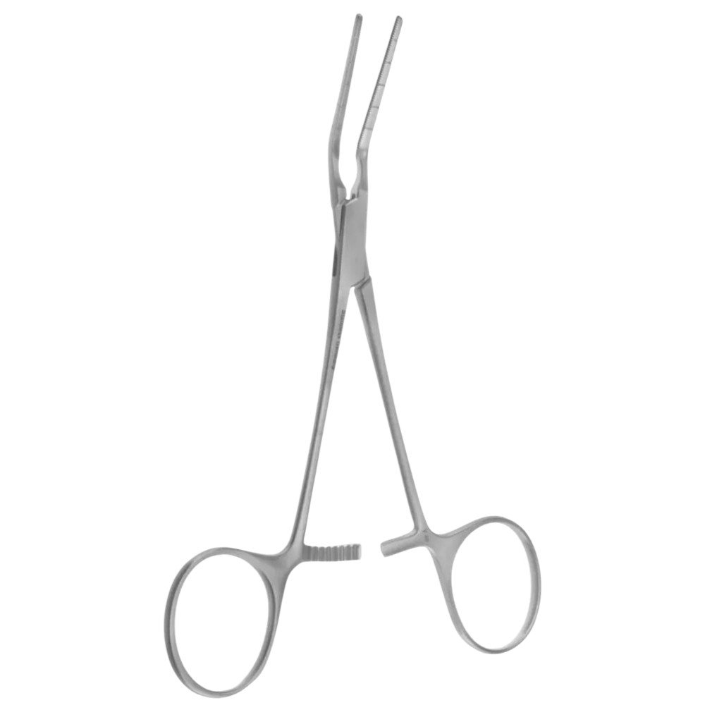 transparent-Photoroom - 2025-10-06T163527.132