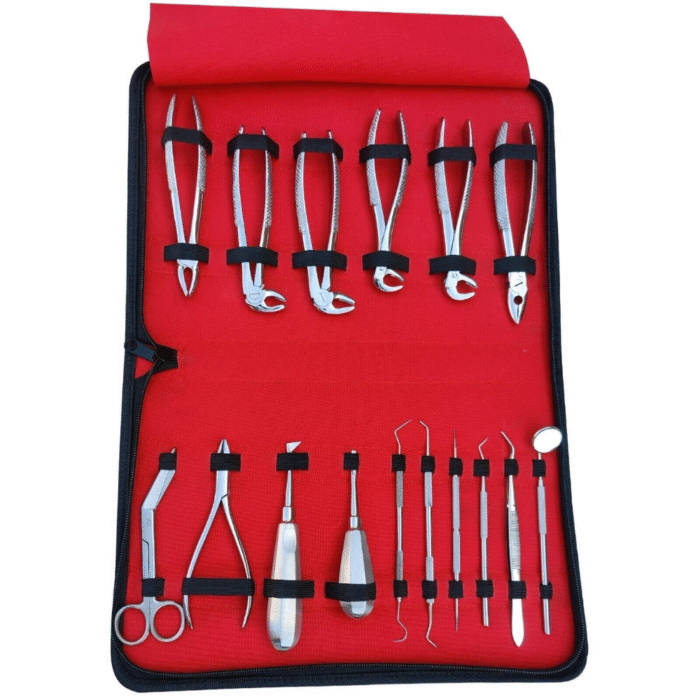 Basic Surgical 16 Pcs Dental Extracting Forceps & Elevators Set ...