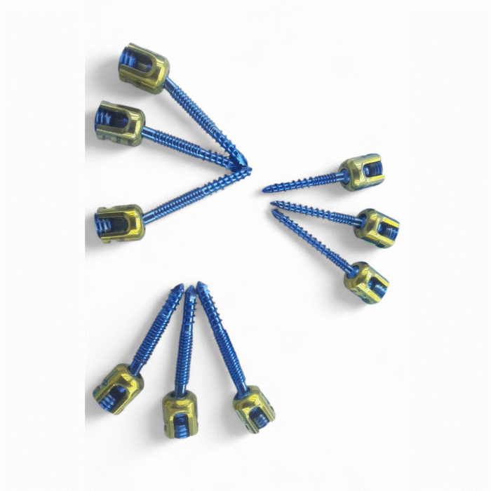Double Thread Polyaxial Pedicle Screw Spine System – 9 pcs Titanium ...