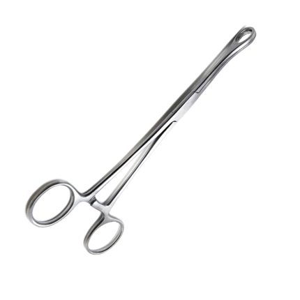 Foerster Ballenger Sponge Straight Serrated Forceps 25.0cm – General Surgery Instruments