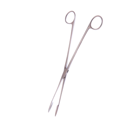Gross Maier Dressing Forceps With Ratchet Straight & Curved 20.0cm – General Surgery Instruments