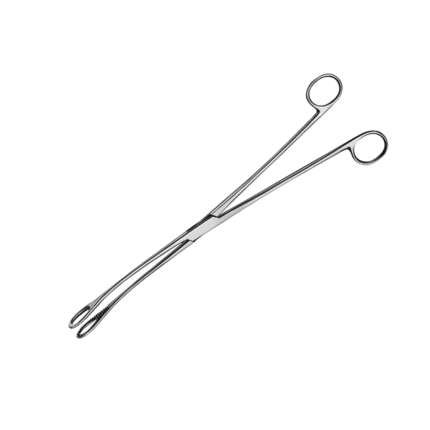Kelly Sponge Forceps Serrated Curved Without Ratchet 31.7cm – General Surgery Instruments