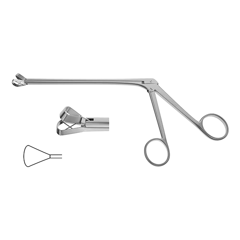 processed_resized_Meltzer Adenoids Nasal Punch