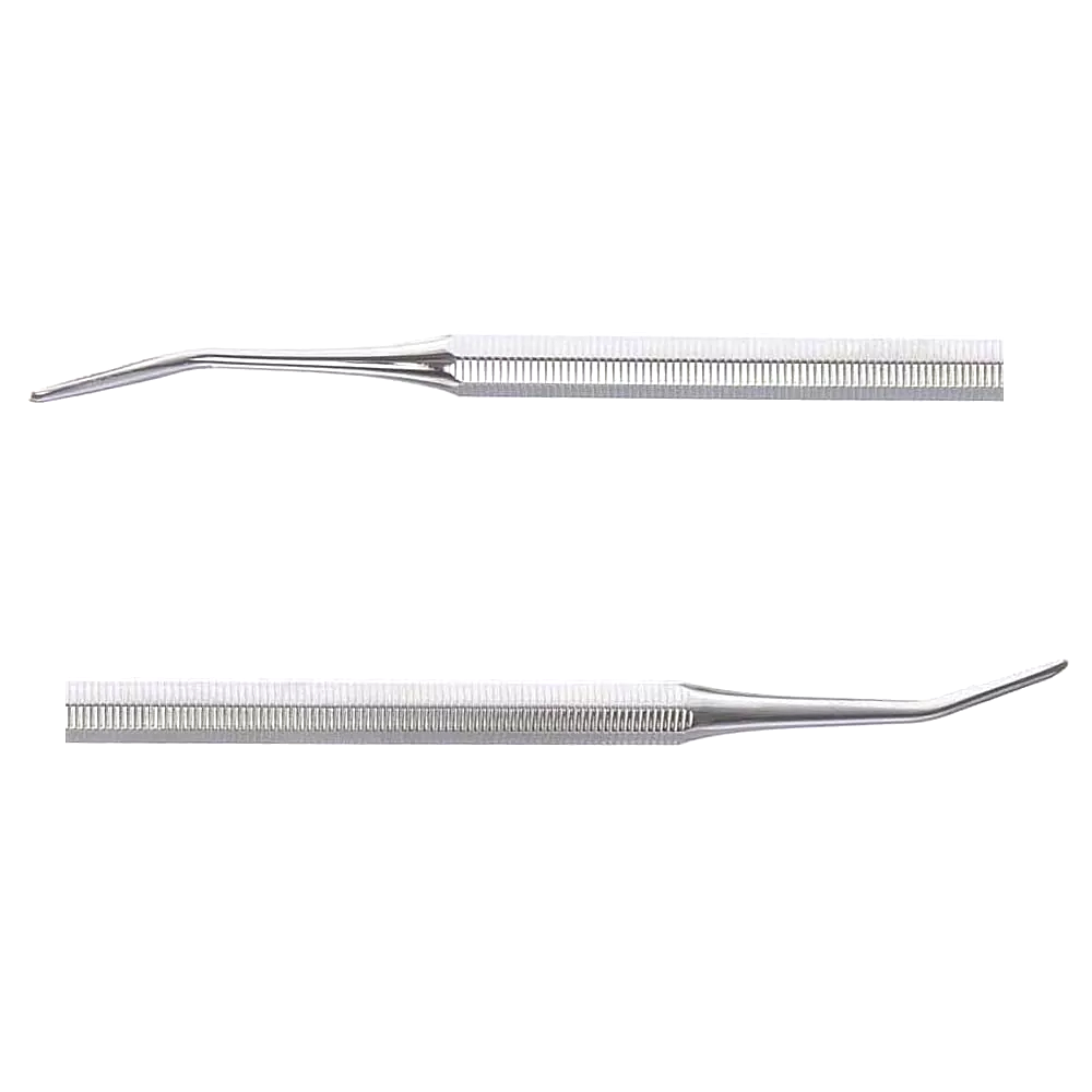 processed_resized_Nail Rasp